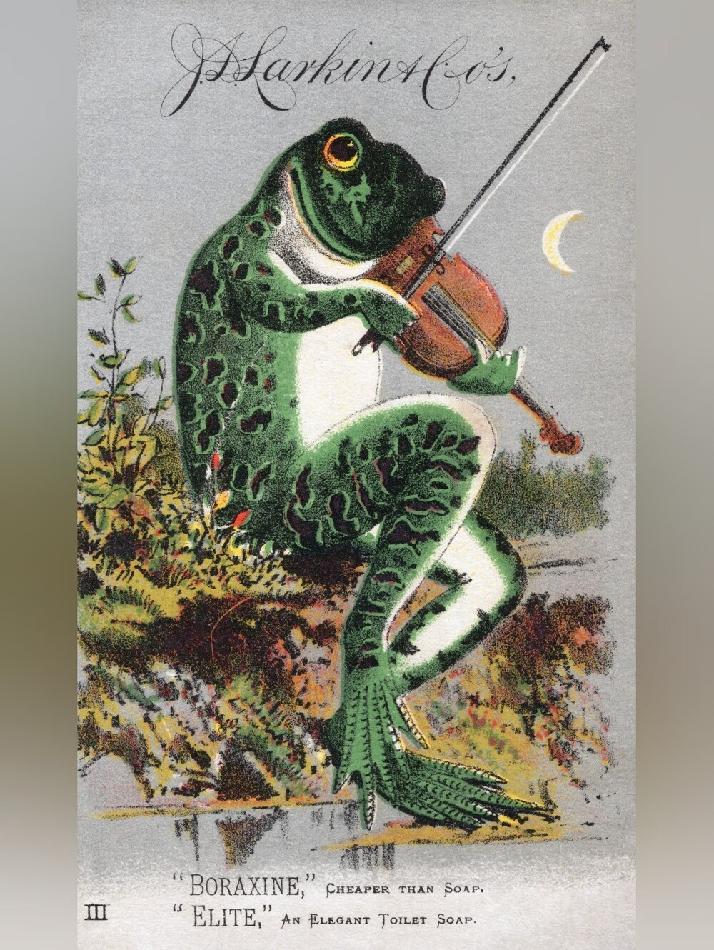 Green Frog Reptile Figurine Art Print